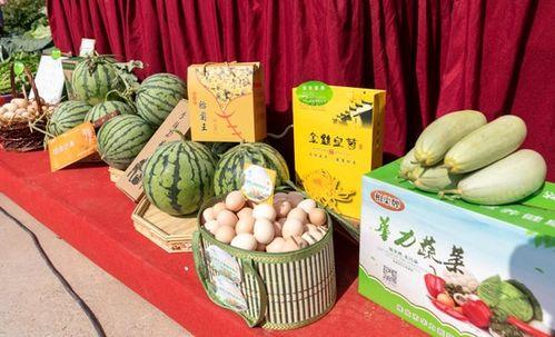 淮北爆料吃瓜,吃瓜群众揭秘当地热点事件